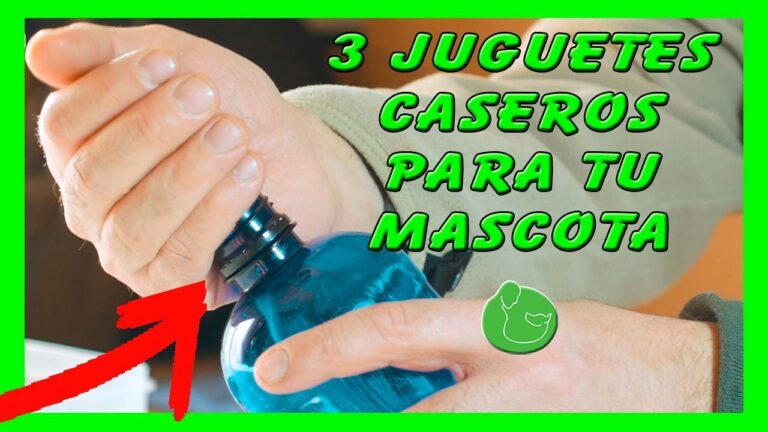Guía para Comprar Productos para Mascotas en Dueñas