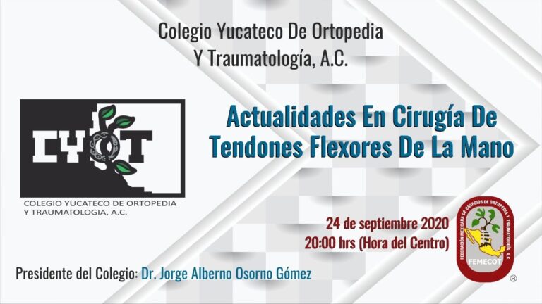 Centros de Fisioterapia en Osorno la Mayor: Opciones y Servicios