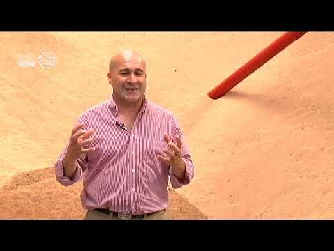 Descubre los Mejores Lugares para Catas de Aceite en Dueñas