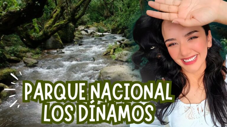 Actividades Deportivas para Ni&ntilde;os en Paredes de Nava