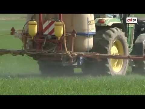 Ferias Destacadas en Carri&oacute;n de los Condes