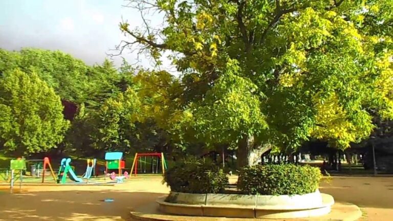 Parques Infantiles en Fr&oacute;mista: Gu&iacute;a Completa